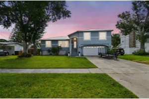 317 SHORE DRIVE, OLDSMAR, FL 34677 - MLS#MFRFC311006