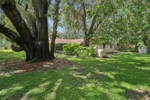 213 BREVITY LANE, DELAND, FL 32724 - MLS#MFRFC311292