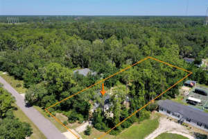 209 Falcon Fire Pl, BUNNELL