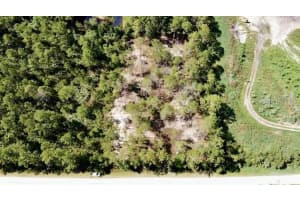 5669 MANGO AVENUE, BUNNELL, FL 32110 Sold 09/04/25