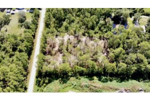 5669 MANGO AVENUE, BUNNELL, FL 32110 Sold 09/04/25