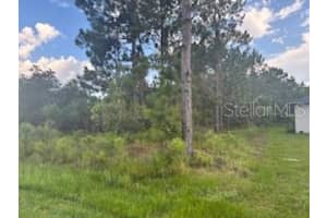 3 LANSING LANE, PALM COAST, FL 32137 - MLS#MFRFC311550