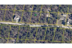 15163 SCAUP DUCK AVENUE, WEEKI WACHEE, FL 34614 Sold 09/16/25