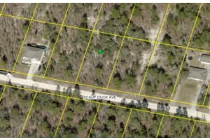15163 SCAUP DUCK AVENUE, WEEKI WACHEE, FL 34614 Sold 09/16/25