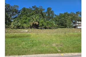 65 OLD OAK DRIVE, PALM COAST, FL 32137 - MLS#MFRFC311708
