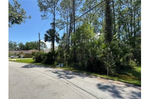 4 POTTERVILLE LANE, PALM COAST, FL 32164 - MLS#MFRFC311744