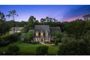 227 Treeline Ln, ORMOND BEACH