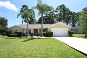 12 Lake Success Pl, PALM COAST