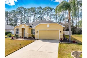 58 ROLLINS LANE, PALM COAST, FL 32164 - MLS#MFRFC311798