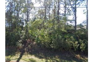 106 LEE DRIVE, PALM COAST, FL 32137 - MLS#MFRFC311860