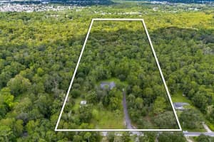 802 HAMILTON DRIVE, ORLANDO, FL 32833 - MLS#MFRFC311992