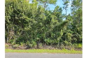 801 FRANZ STREET, BUNNELL, FL 32110 - MLS#MFRFC312226