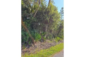 801 FRANZ STREET, BUNNELL, FL 32110 - MLS#MFRFC312226