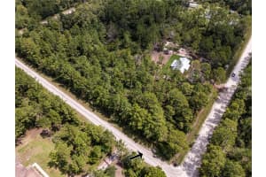6148 TANGERINE AVENUE, BUNNELL, FL 32110 - MLS#MFRFC312342