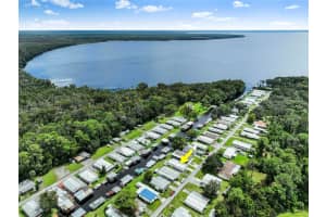1635 BASS AVENUE, SEVILLE, FL 32190 - MLS#MFRFC312443