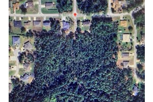 000 SEFERIS PATH PATH, PALM COAST, FL 32164 - MLS#MFRFC312463