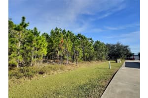 0 STATE STREET, BUNNELL, FL 32110 - MLS#MFRFC312731