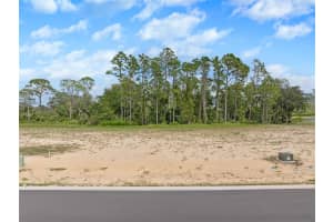 208 STILLWATER DRIVE, FLAGLER BEACH, FL 32136 - MLS#MFRFC312738