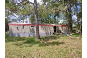 2667 PINE STREET, BUNNELL, FL 32110 - MLS#MFRFC312814