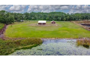 2309 MCBRIDE ROAD, SEVILLE, FL 32190 - MLS#MFRFC312818