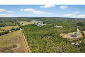 5481 COUNTY ROAD 304, BUNNELL, FL 32110 - MLS#MFRFC312881