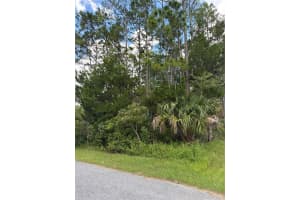 135 ULLIAN TRAIL, PALM COAST, FL 32164 - MLS#MFRFC313013
