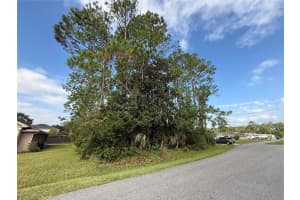 19 LINDBERG LANE, PALM COAST, FL 32137 - MLS#MFRFC313085