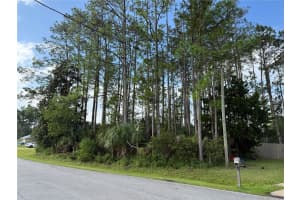 19 LINDBERG LANE, PALM COAST, FL 32137 - MLS#MFRFC313085