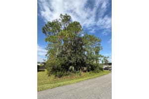 19 LINDBERG LANE, PALM COAST, FL 32137 - MLS#MFRFC313085