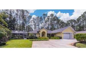 19 WATERFORD PLACE, PALM COAST, FL 32164 - MLS#MFRFC313159
