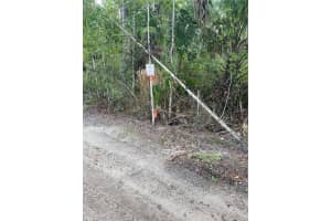 COUNTY RD 335, BUNNELL, FL 32110 - MLS#MFRFC313168