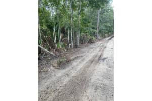 COUNTY RD 335, BUNNELL, FL 32110 - MLS#MFRFC313168