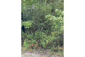 COUNTY RD 335, BUNNELL, FL 32110 - MLS#MFRFC313168