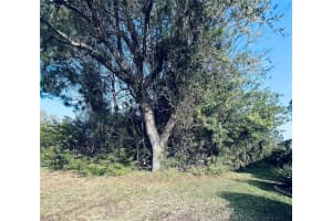 91 EMERALD LAKE DRIVE, PALM COAST, FL 32137 - MLS#MFRFC313255