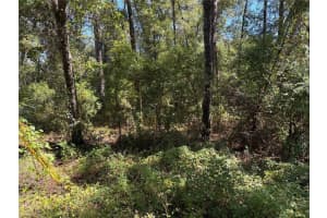 1228 CLOVER TERRACE, INVERNESS, FL 34452 - MLS#MFRFC313423