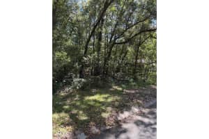 1228 CLOVER TERRACE, INVERNESS, FL 34452 - MLS#MFRFC313423