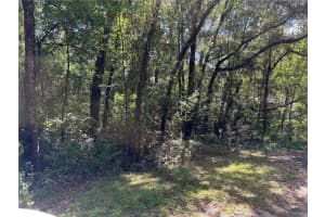 1228 CLOVER TERRACE, INVERNESS, FL 34452 - MLS#MFRFC313423