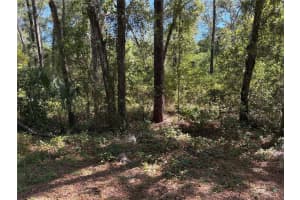 1222 CLOVER TERRACE, INVERNESS, FL 34452 - MLS#MFRFC313424