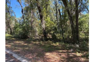 1222 CLOVER TERRACE, INVERNESS, FL 34452 - MLS#MFRFC313424