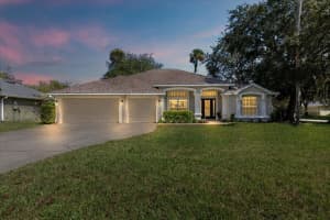 33 Wild Fern Ln, ORMOND BEACH