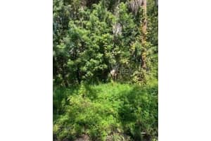 287 SELDEN AVENUE, ORMOND BEACH, FL 32174 - MLS#MFRFC313515