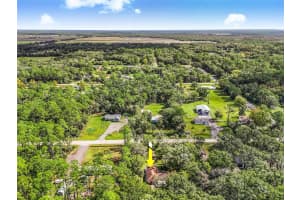 1416 HONEYTREE STREET, BUNNELL, FL 32110 - MLS#MFRFC313624