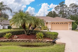 25 WOODLYN LANE, PALM COAST, FL 32164 - MLS#MFRFC313628