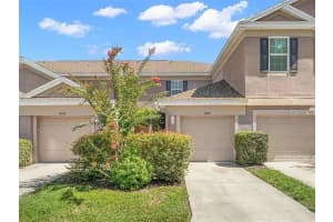 10005 TRANQUILITY WAY, TAMPA, FL 33625 - MLS#MFRFC313840