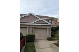 10005 TRANQUILITY WAY, TAMPA, FL 33625 - MLS#MFRFC313840