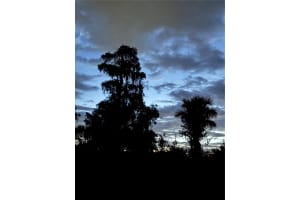 1155 GLENDORA ROAD, KISSIMMEE, FL 34759 - MLS#MFRFC313946