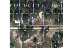 346 MORNINGSIDE DR, LAKE PLACID, FL 33852 - MLS#MFRFC314006