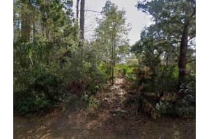 14 SECOND PATH, PALM COAST, FL 32164 Sold 01/22/26