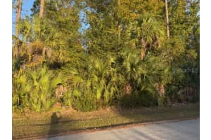 11 PINELARK LANE, PALM COAST, FL 32164 - MLS#MFRFC314252