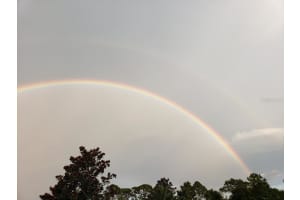 15 ROUND MILL LANE, PALM COAST, FL 32164 - MLS#MFRFC314297